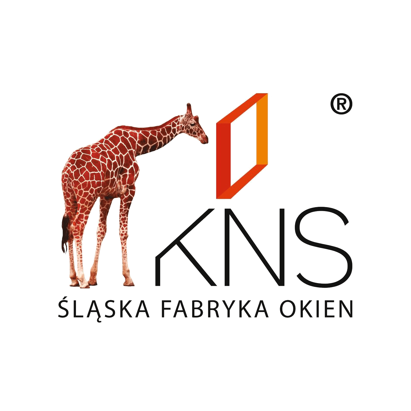 logo kns